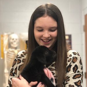 Meet your Posher, Anna